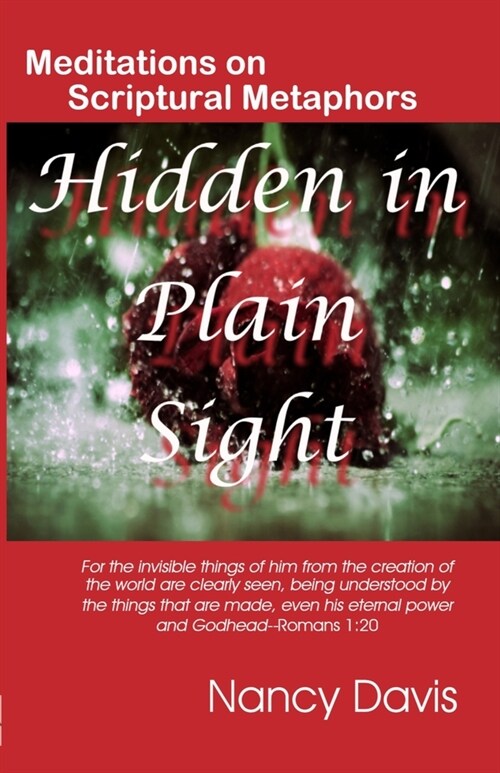 Hidden in Plain Sight (Paperback)