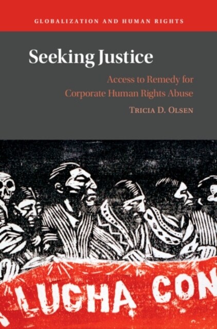 Seeking Justice : Access to Remedy for Corporate Human Rights Abuse (Hardcover)