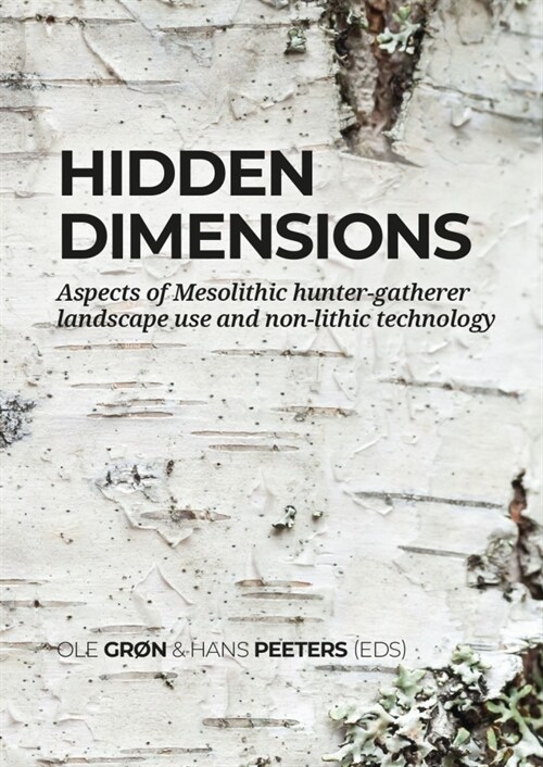 Hidden Dimensions: Aspects of Mesolithic Hunter-Gatherer Landscape Use and Non-Lithic Technology (Hardcover)