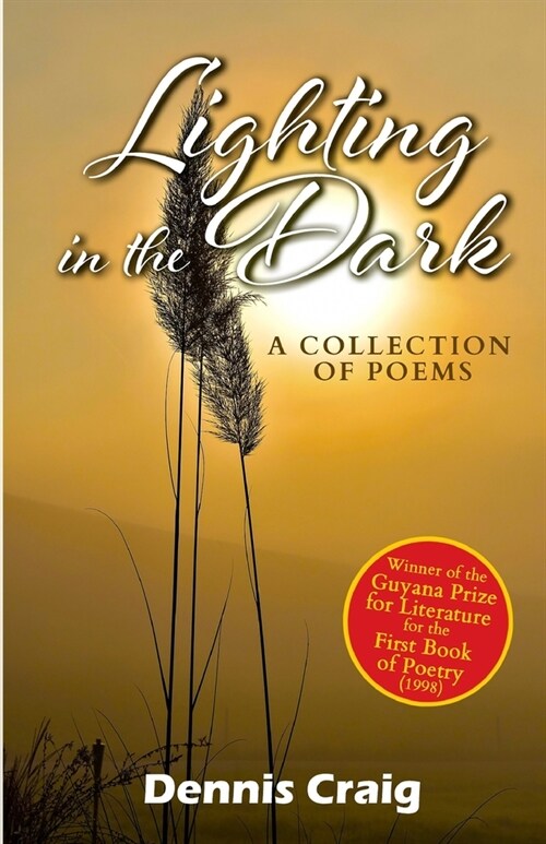 Lighting in the Dark: A Collection of Poems (Paperback)