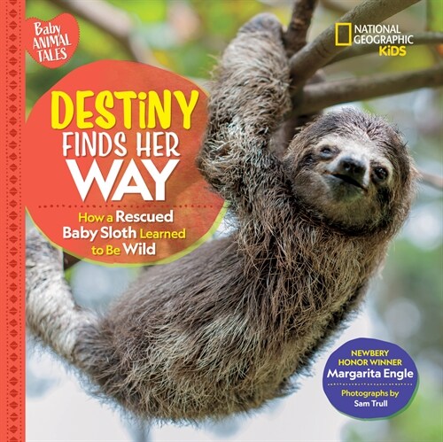 Destiny Finds Her Way: How a Rescued Baby Sloth Learned to Be Wild (Hardcover)