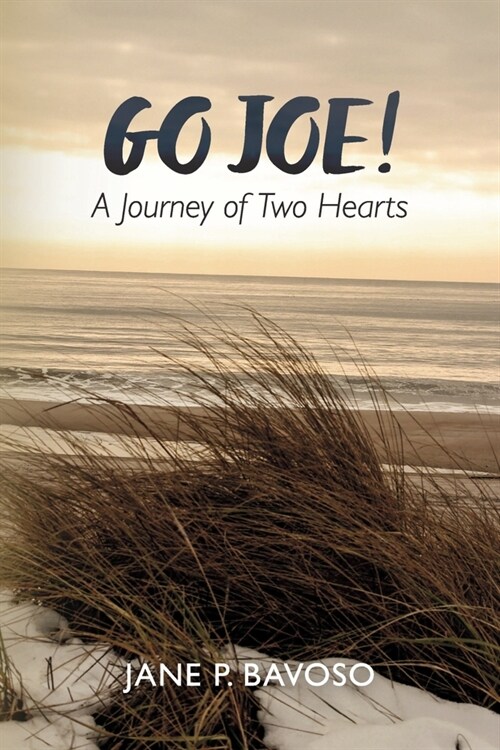 Go Joe! a Journey of Two Hearts (Paperback)
