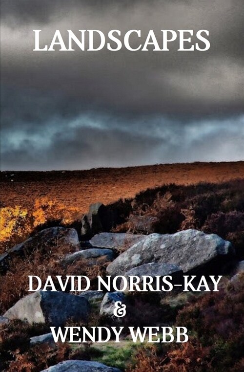 Landscapes (Paperback)