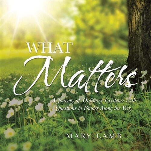 What Matters: A Journey of Ordinary Existence with Questions to Ponder Along the Way (Paperback)