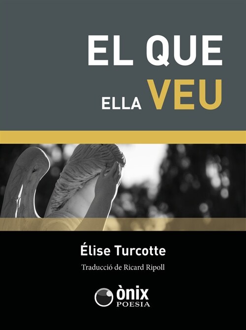 EL QUE ELLA VEU (Paperback)