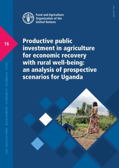 Productive Public Investment in Agriculture for Economic Recovery with Rural Well-being (Paperback)
