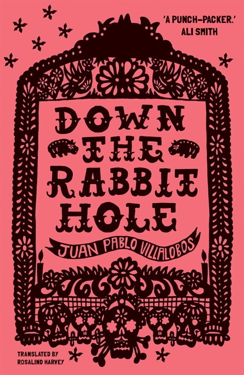 Down the Rabbit Hole : Shortlisted for the 2011 Guardian First Book Award (Paperback, 3 New edition)