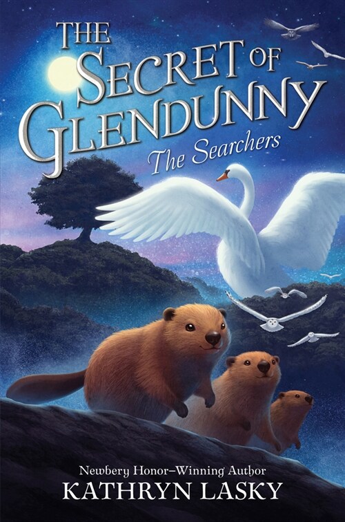 The Secret of Glendunny #2: The Searchers (Hardcover)
