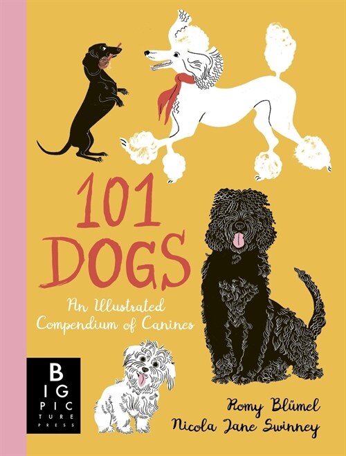 101 Dogs : An Illustrated Compendium of Canines (Hardcover)