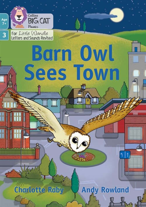 Barn Owl Sees Town : Phase 3 Set 1 Blending Practice (Paperback)