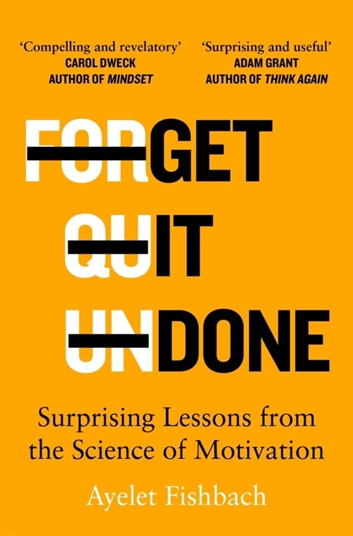 Get it Done : Surprising Lessons from the Science of Motivation (Paperback)