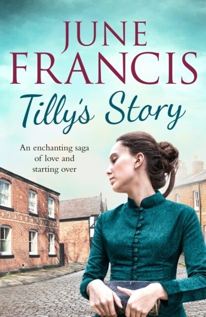 Tillys Story (Paperback)