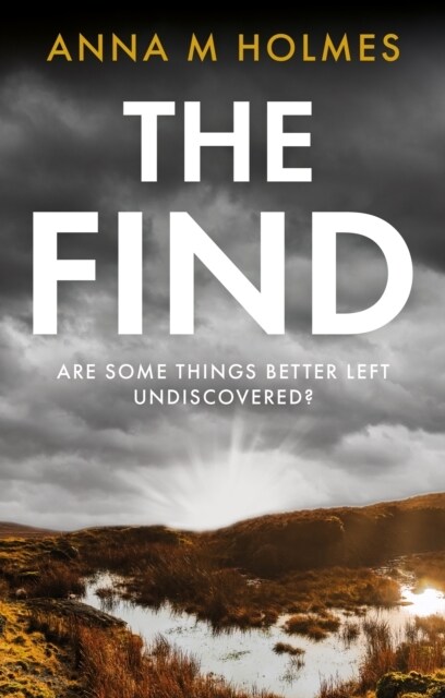 The Find : Are some things better left undiscovered? (Paperback)