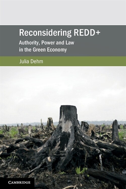 Reconsidering REDD+ : Authority, Power and Law in the Green Economy (Paperback)