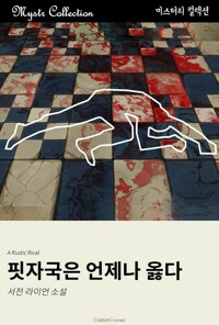 핏자국은 언제나 옳다 커버