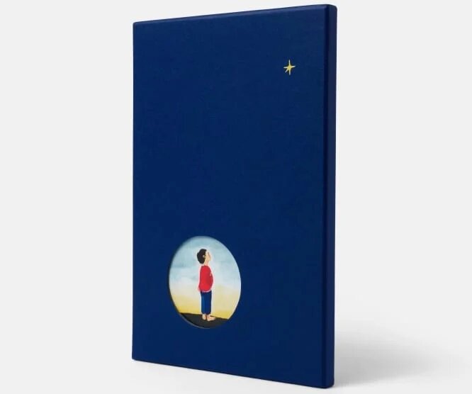 Star Child: Special Edition by Claire A. Nivola (Hardcover)