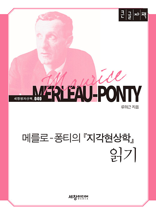 [큰글자책] 메를로-퐁티의 지각현상학 읽기