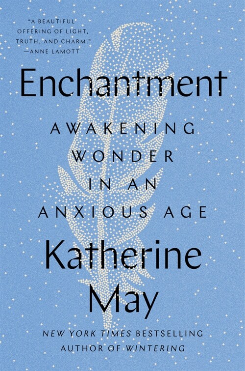 Enchantment: Awakening Wonder in an Anxious Age (Hardcover)