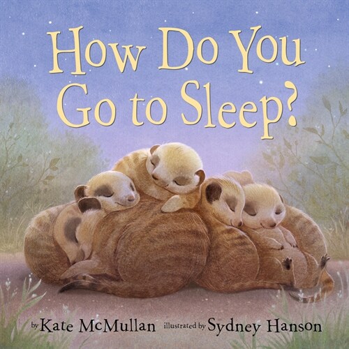 How Do You Go to Sleep? (Board Books)