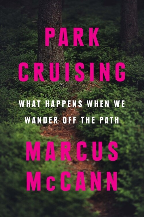 Park Cruising: What Happens When We Wander Off the Path (Paperback)