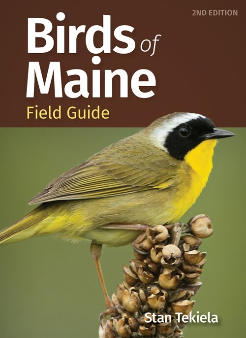 Birds of Maine Field Guide (Paperback, 2, Revised)