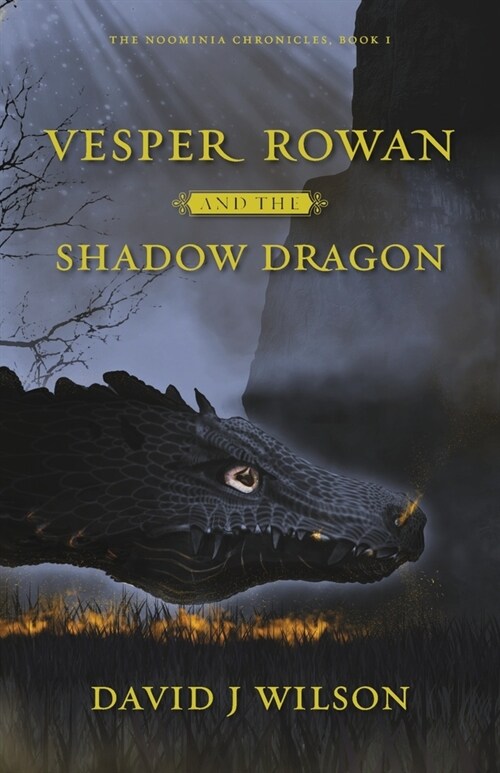 Vesper Rowan and the Shadow Dragon: Volume 1 (Paperback)