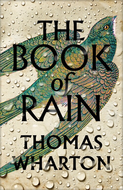 The Book of Rain (Hardcover)