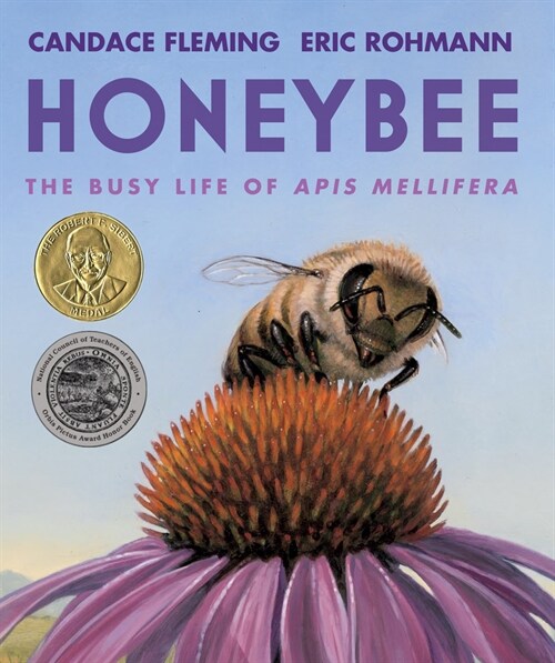 Honeybee: The Busy Life of APIs Mellifera (Paperback)