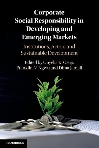 Corporate Social Responsibility in Developing and Emerging Markets : Institutions, Actors and Sustainable Development (Paperback)
