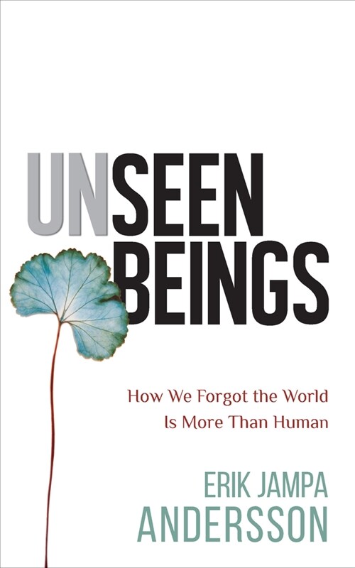 Unseen Beings: How We Forgot the World Is More Than Human (Paperback)