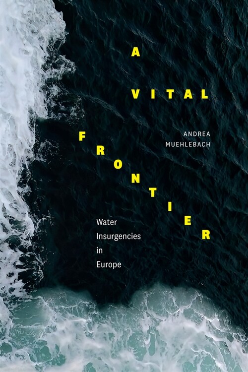 A Vital Frontier: Water Insurgencies in Europe (Hardcover)