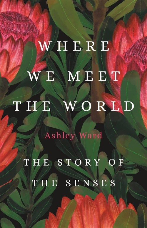 Where We Meet the World: The Story of the Senses (Hardcover)