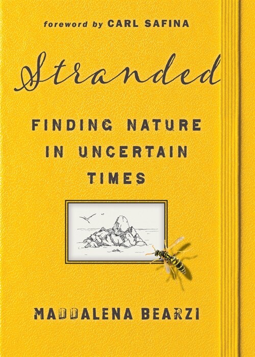 Stranded: Finding Nature in Uncertain Times (Hardcover)
