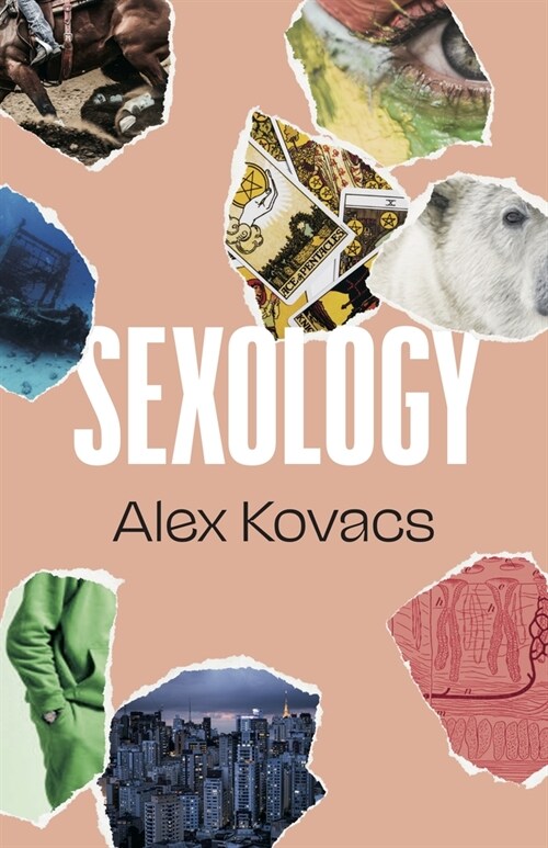 Sexology (Paperback)