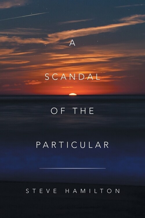 A Scandal of the Particular (Paperback)