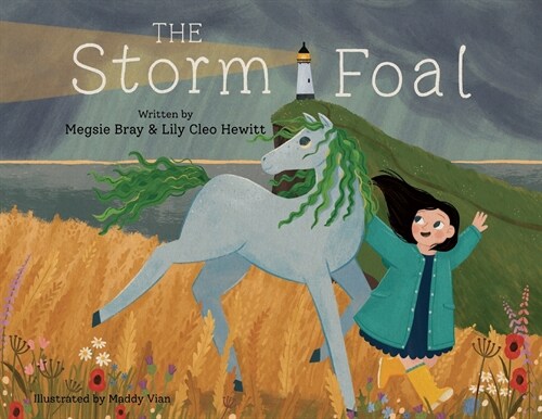 The Storm Foal (Paperback)