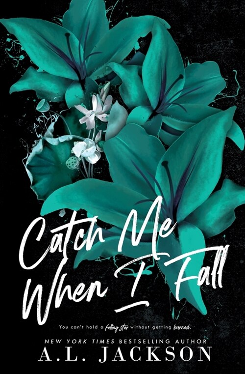 Catch Me When I Fall (Alternate Cover) (Paperback)