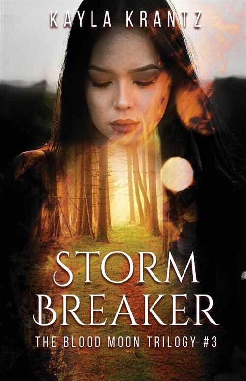 Storm Breaker (Paperback)