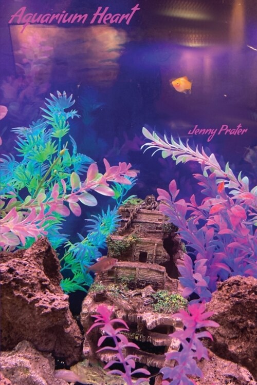 Aquarium Heart (Paperback)