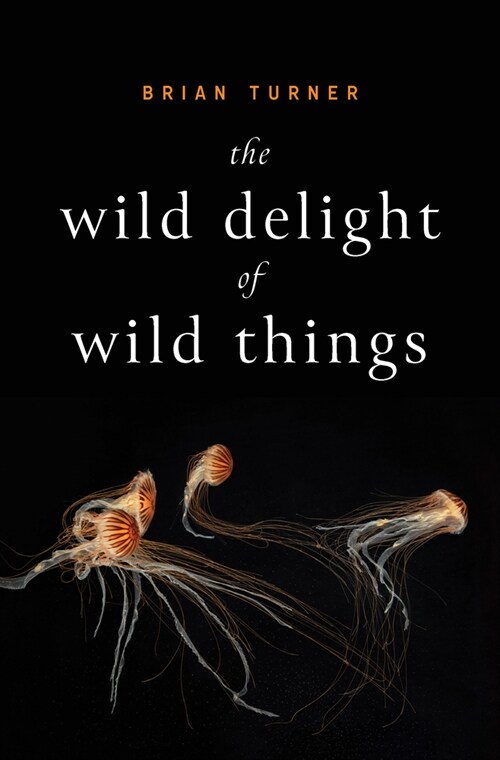 The Wild Delight of Wild Things (Paperback)