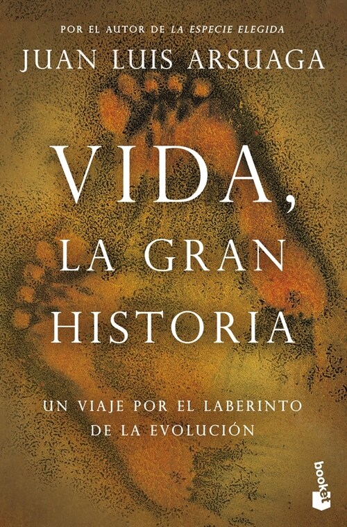 Vida, La Gran Historia (Paperback)