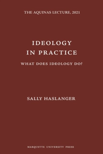 Ideology in Practice : What Does Ideology Do? (Hardcover)