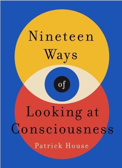 Nineteen Ways of Looking at Consciousness (Hardcover)