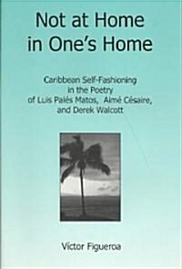Not at Home in Ones Home (Hardcover, 1st)