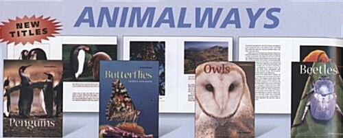 Animal Ways (Group 6) (Library Binding)