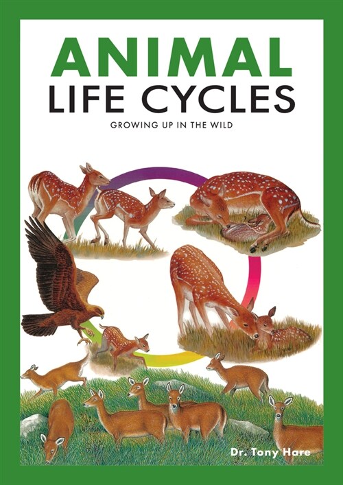 Animal Life Cycles: Discovering How Animals Live in the Wild (Paperback)