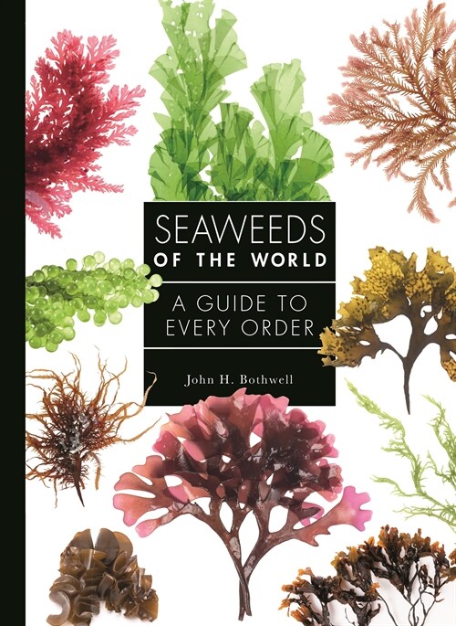 Seaweeds of the World: A Guide to Every Order (Hardcover)