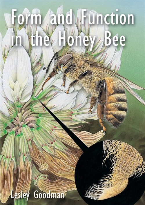Form and Function in the Honey Bee (Paperback)
