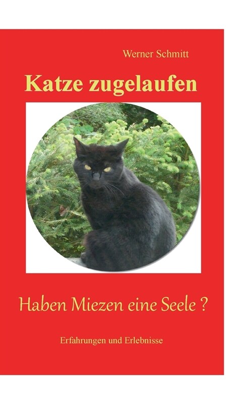 Katze zugelaufen: Haben Miezen eine Seele ? (Paperback)