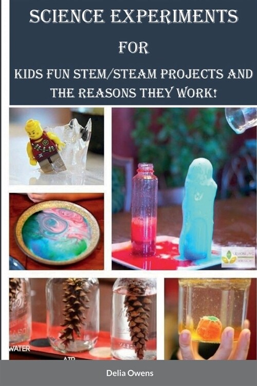 Science Experiments for Kids: Fun STEM/STEAM Projects and the Reasons They Work! (Paperback)